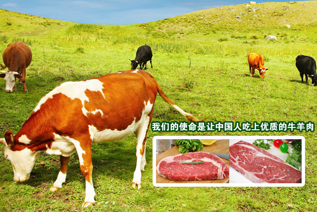 與廣州中合厚嘉進出口貿易有限公司簽約合作